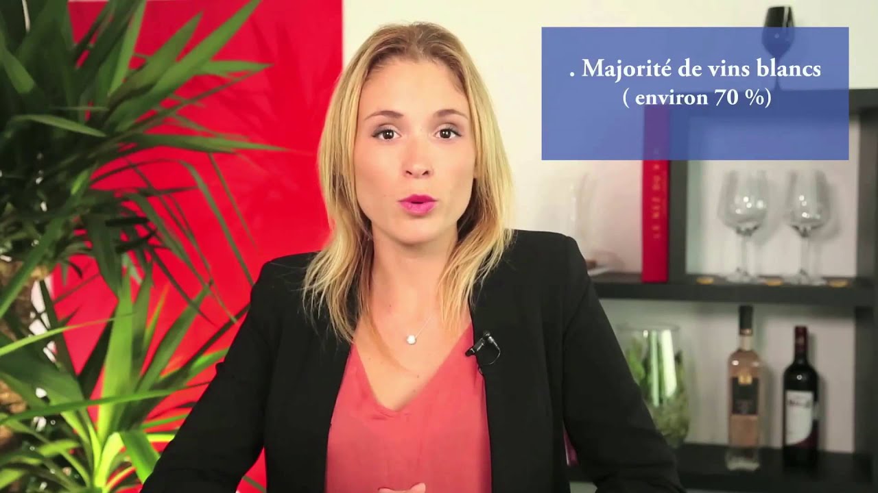 savoie :actualités et enjeux de la région alpine