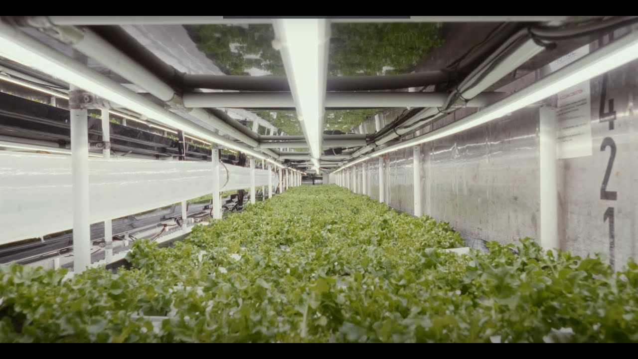 savoie : budget 2026 et dynamisme économique régional