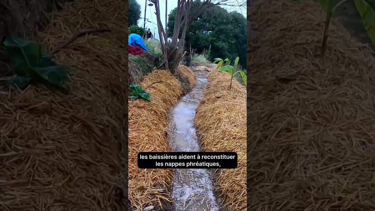 savoie à l&rsquo;honneur au salon de l&rsquo;agriculture 2026 : fromage et vins en vedette